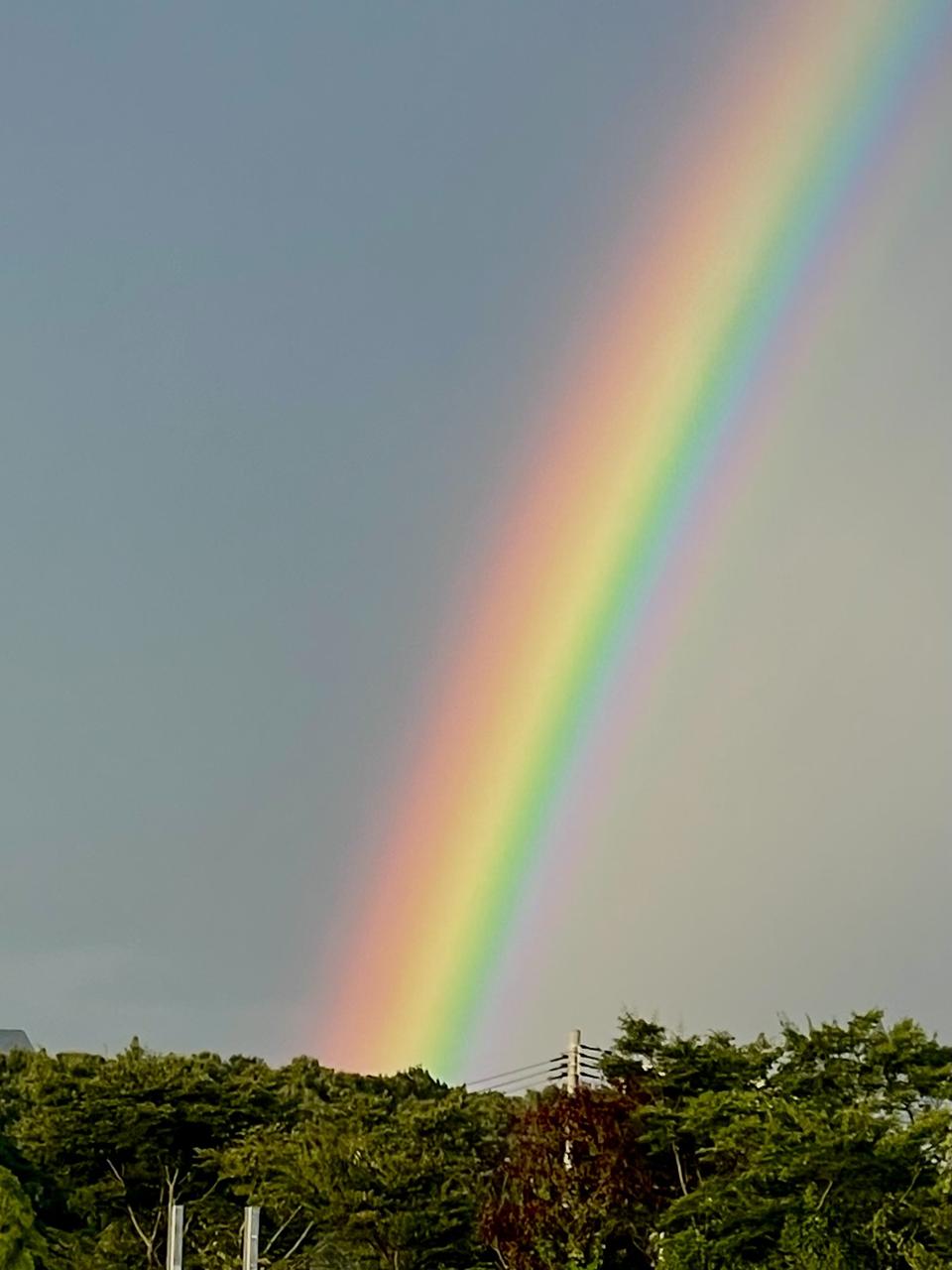 雨上がりの虹 注目の空の写真 ウェザーニュース