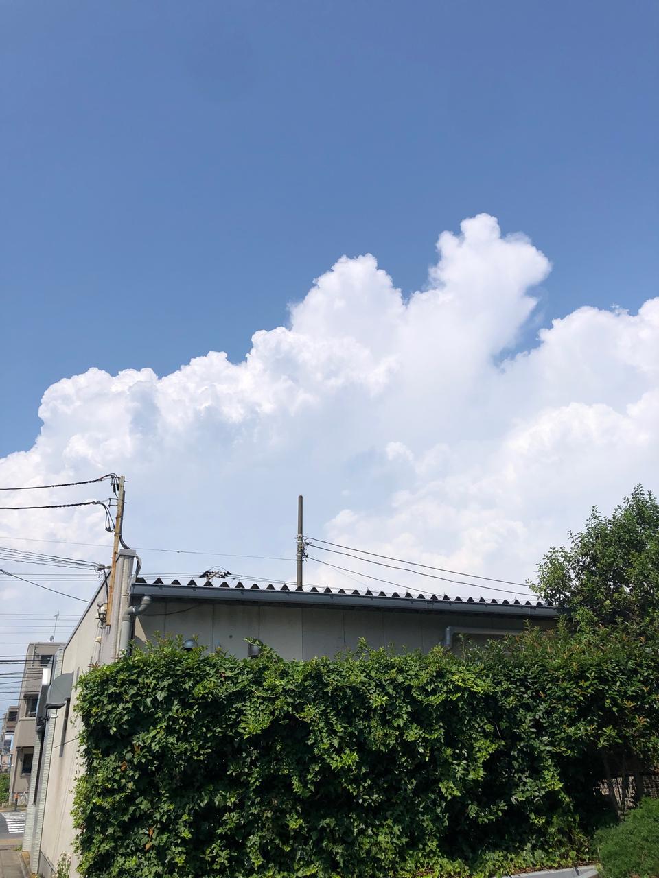 関東でも雨雲が発達 注目の空の写真 ウェザーニュース