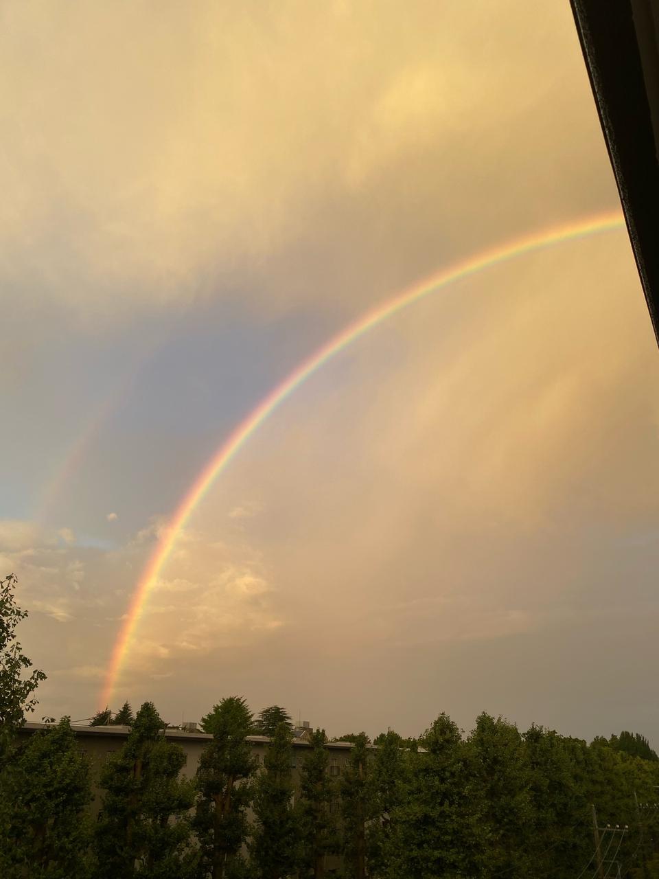 関東で朝虹ラッシュ 注目の空の写真 ウェザーニュース