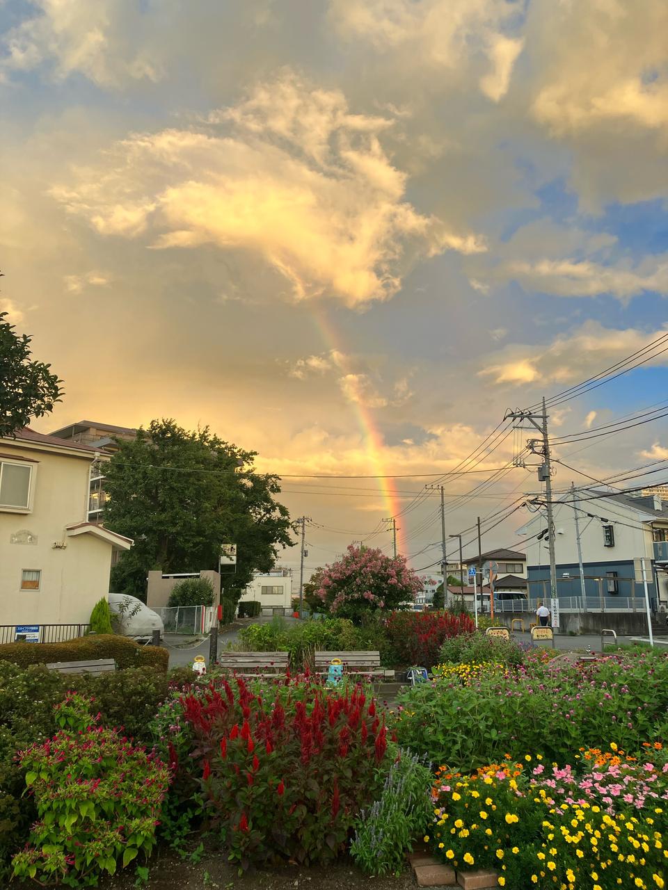 関東で朝虹ラッシュ 注目の空の写真 ウェザーニュース