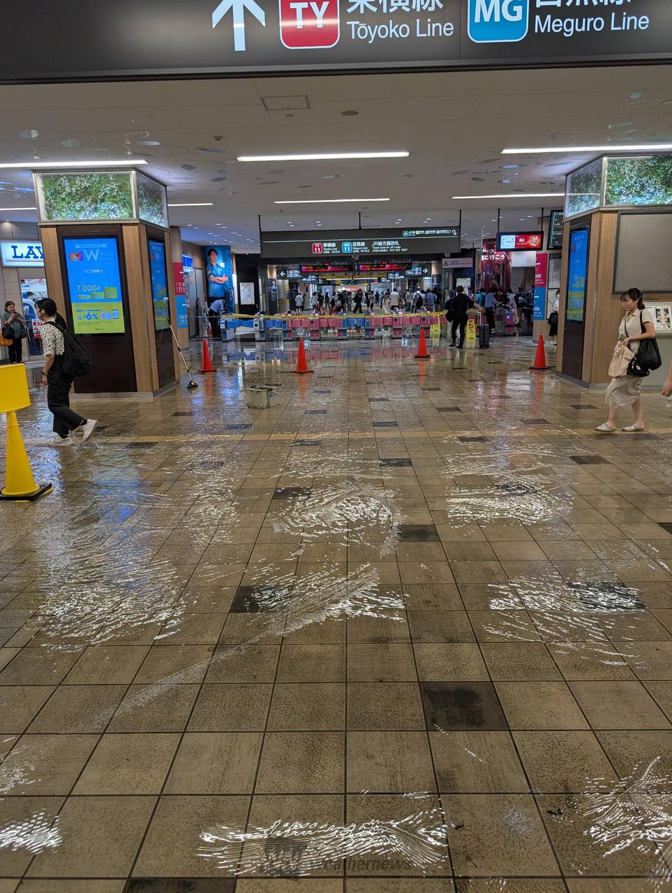武蔵 小杉 浸水