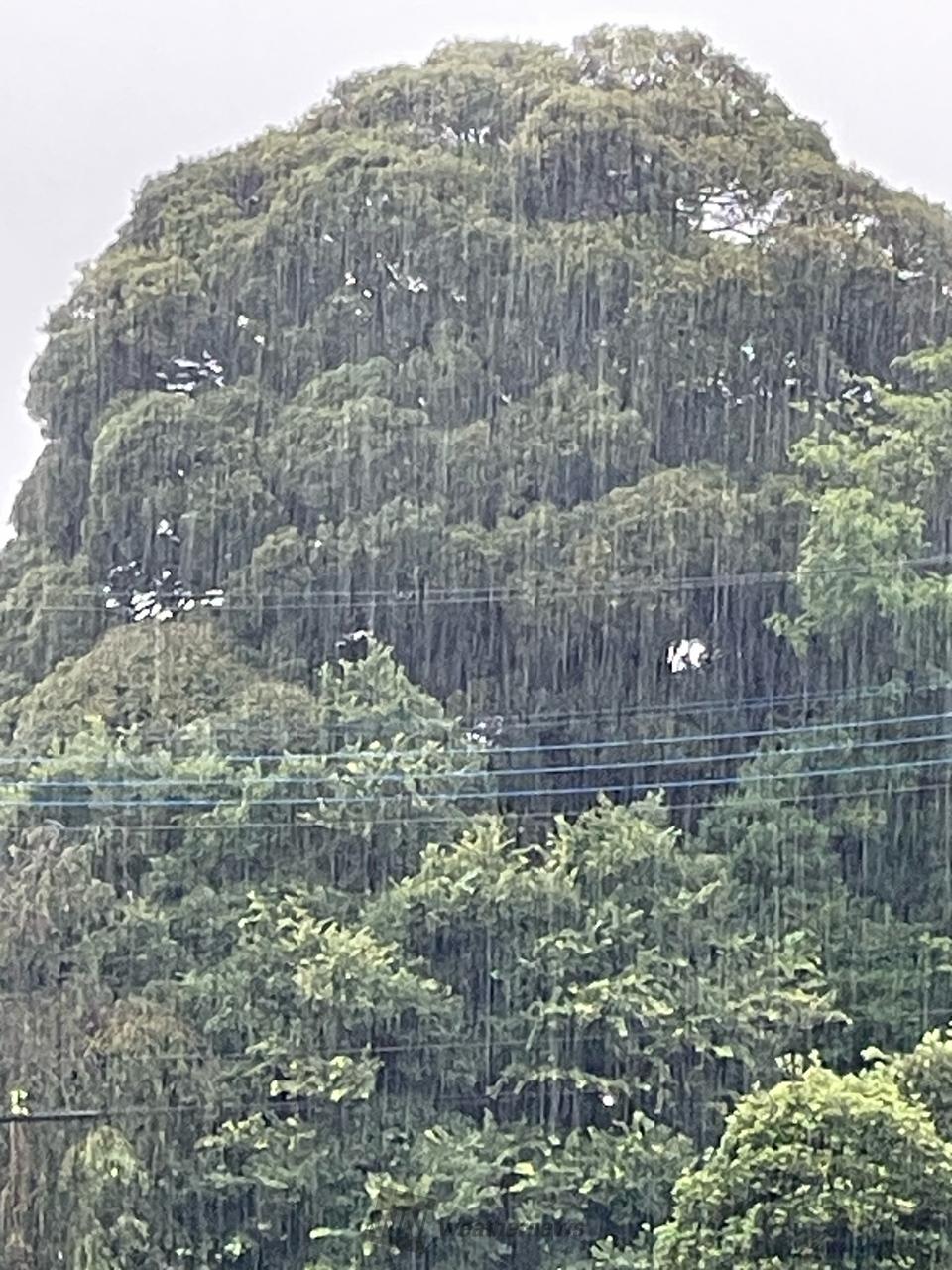 関東は再び雷雨 注目の空の写真 ウェザーニュース