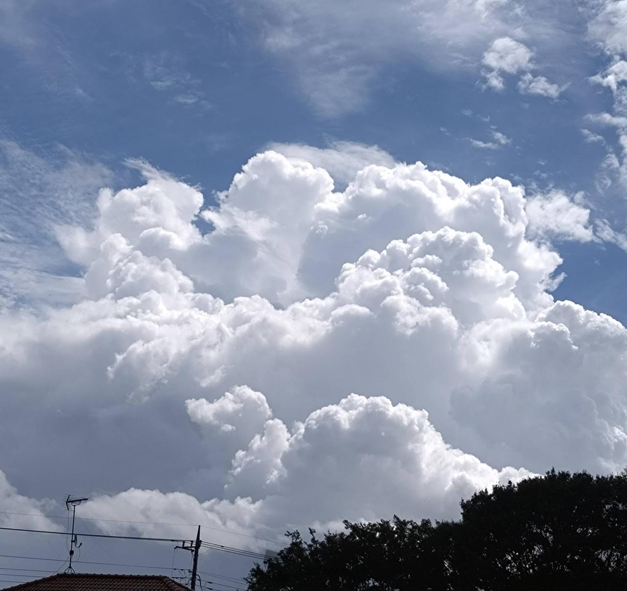 夏を感じる空 注目の空の写真 ウェザーニュース