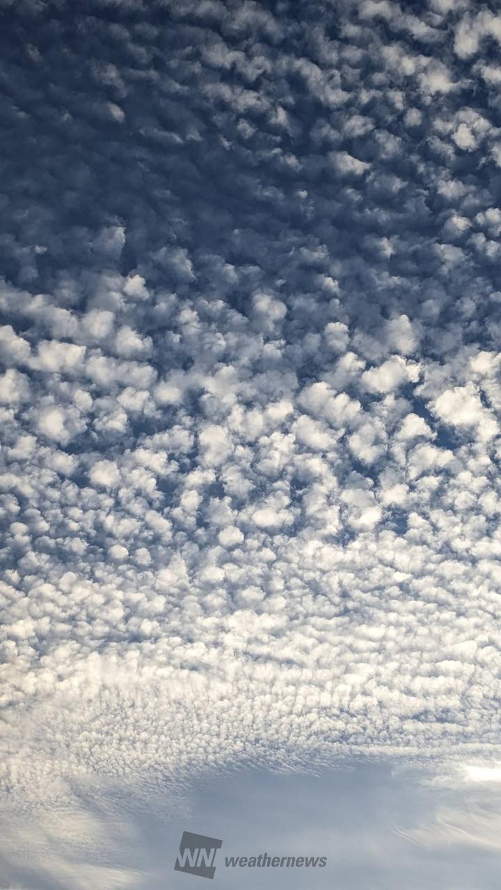 秋を感じる空 注目の空の写真 ウェザーニュース