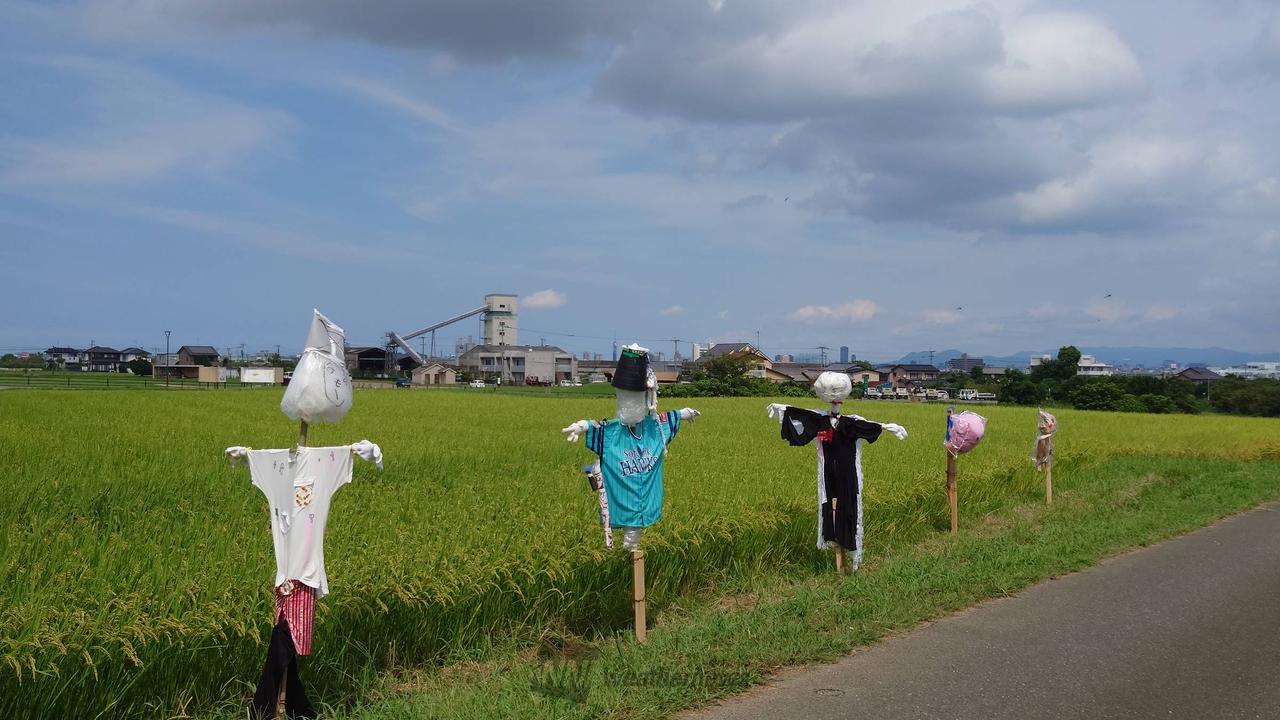 案山子コレクション 注目の空の写真 ウェザーニュース