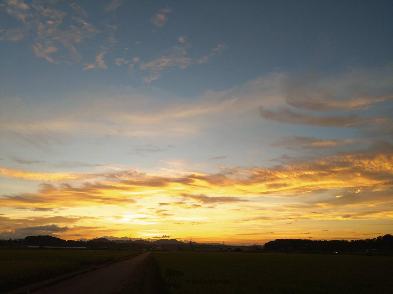 夕日・夕焼け 注目の空の写真 ウェザーニュース