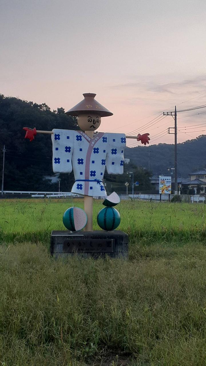 案山子コレクション 注目の空の写真 ウェザーニュース