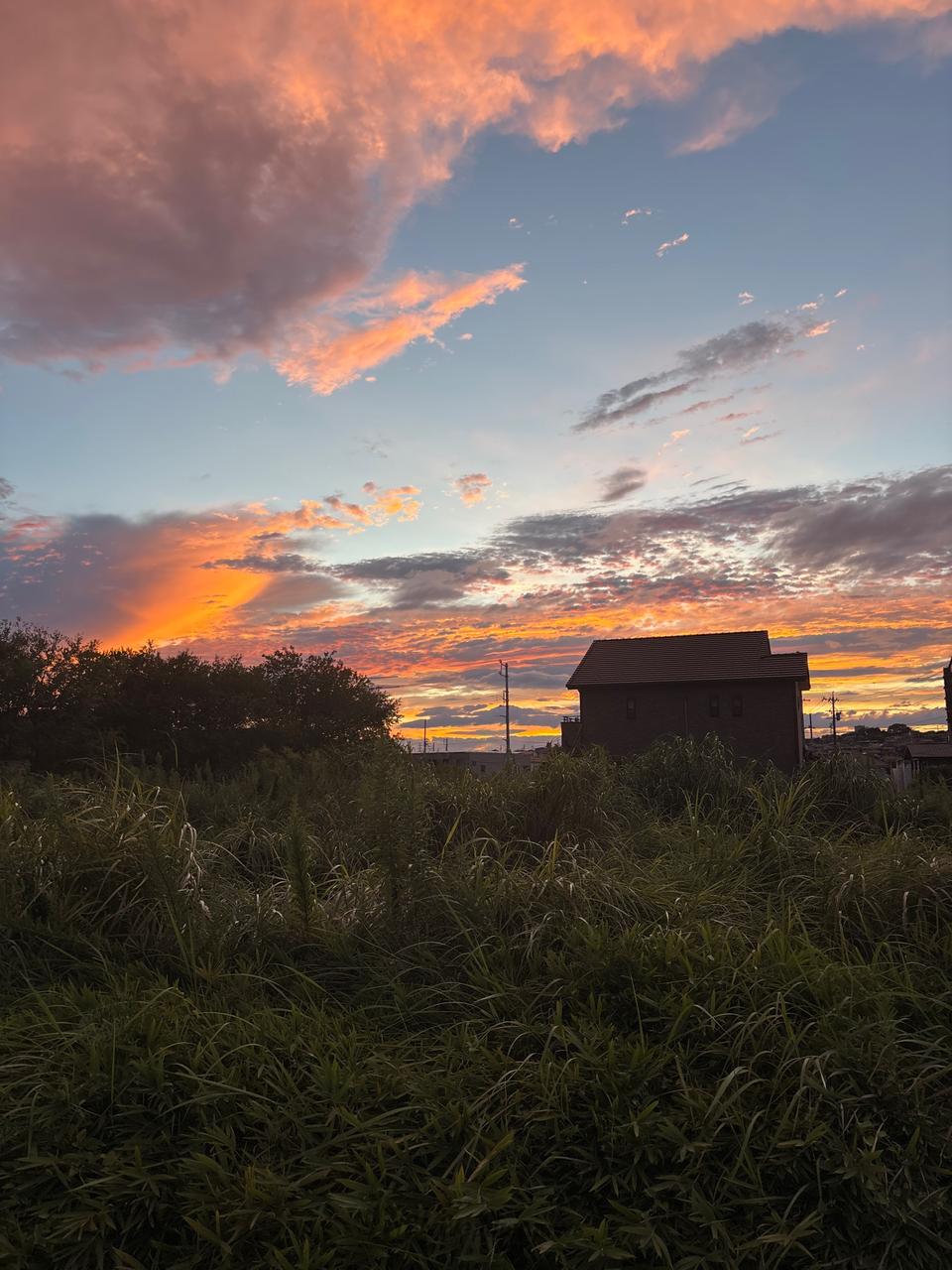 オレンジ夕焼け空 注目の空の写真 ウェザーニュース