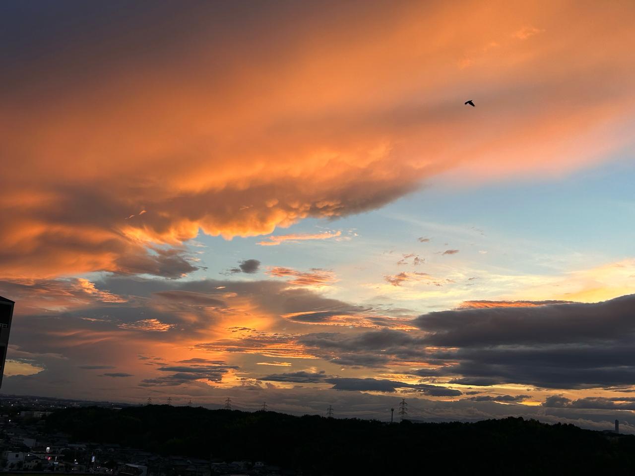 オレンジ夕焼け空 注目の空の写真 ウェザーニュース