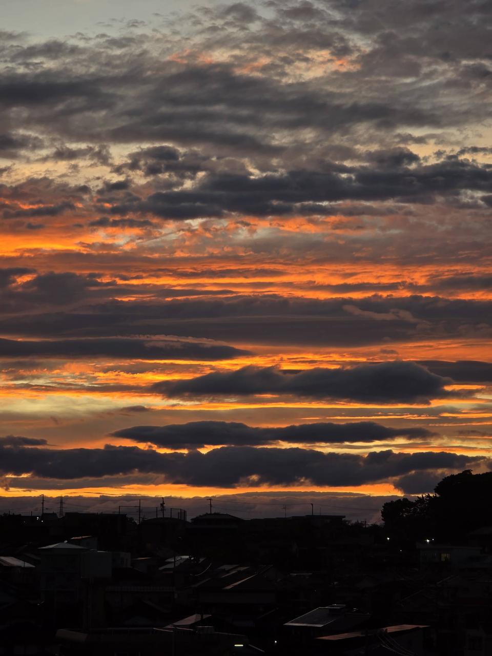 オレンジ夕焼け空 注目の空の写真 ウェザーニュース