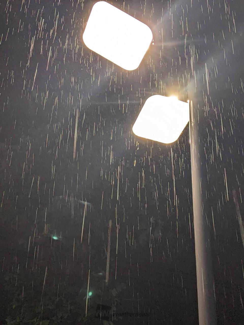 雷雨ページ ゲリラ豪雨・雷雨が怖い季節 - ウェザーニュース