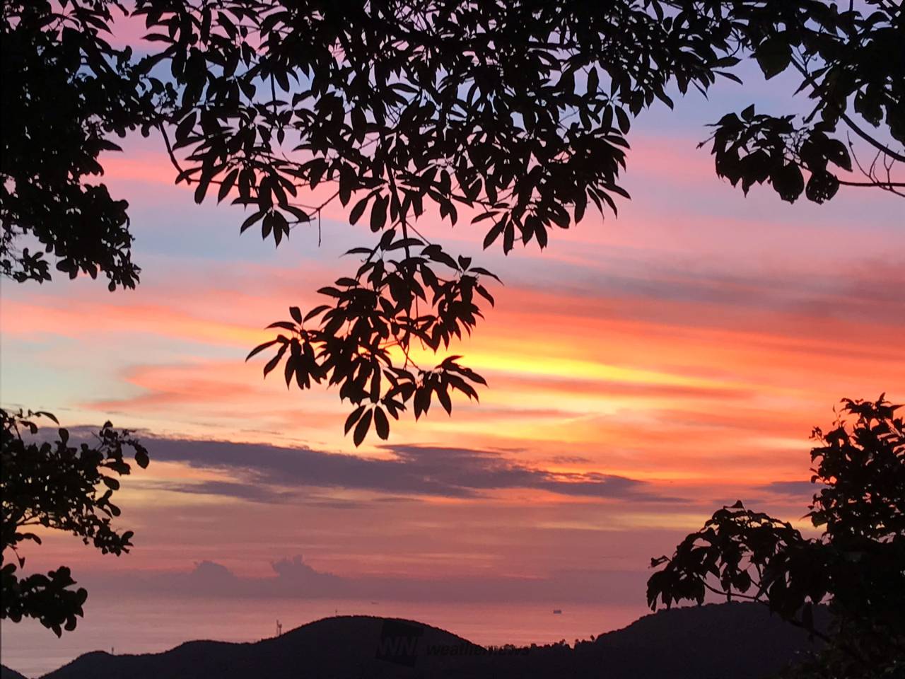夕焼け鳥の休息 渡り鳥と夕焼け（4月29日） ｜ 民宿あしたの城