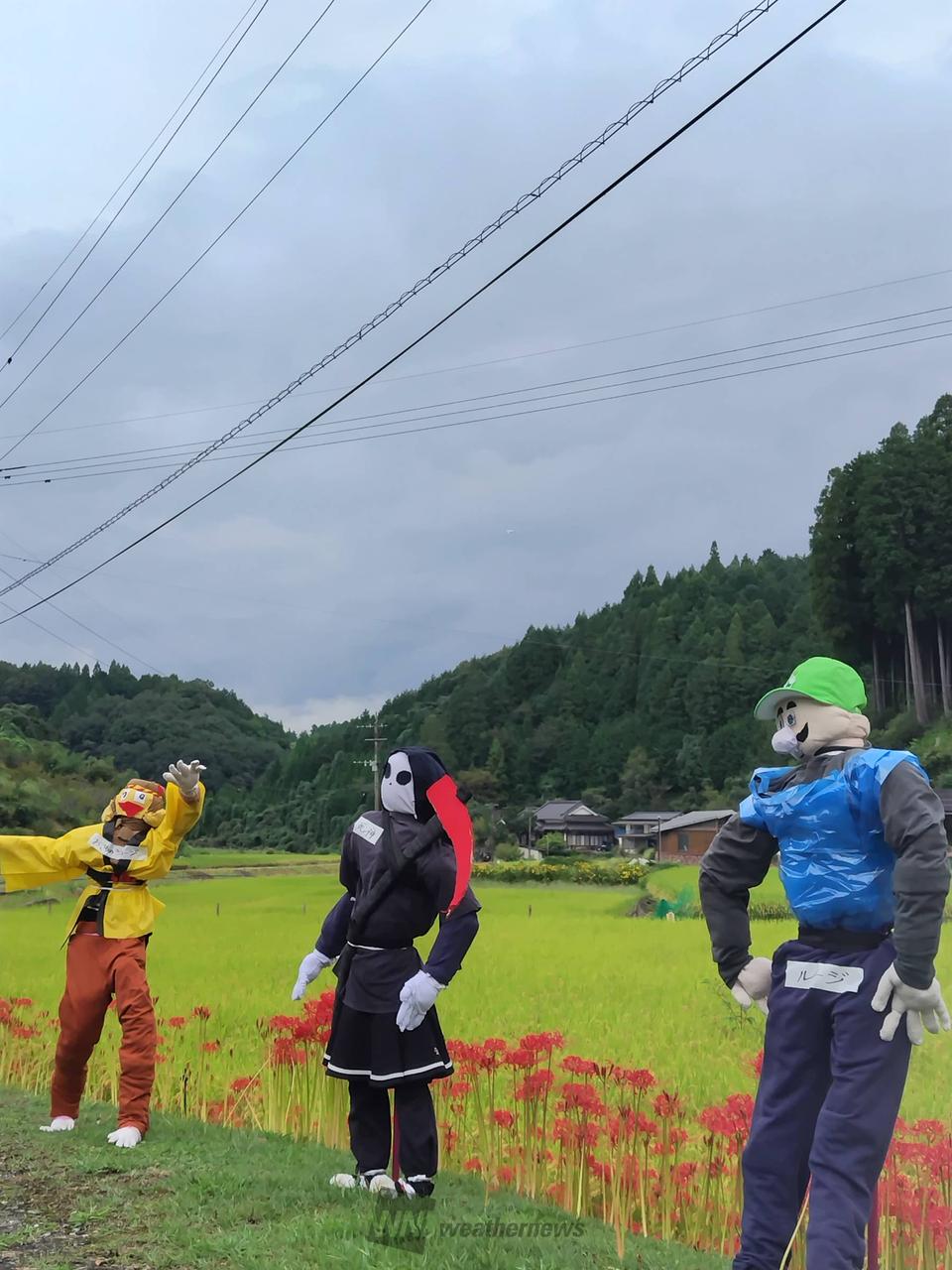 案山子コレクション 注目の空の写真 ウェザーニュース
