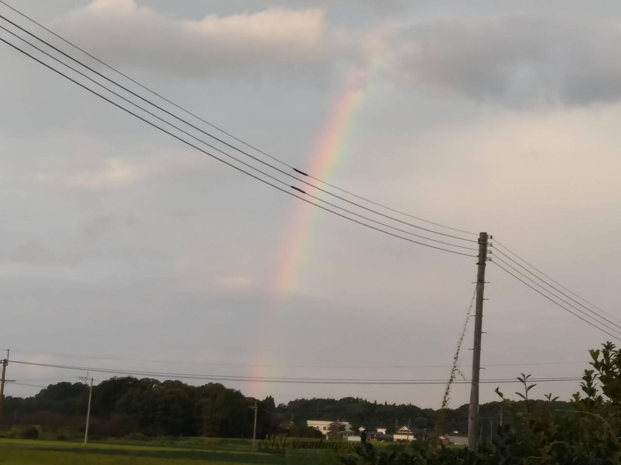 夕空に虹が出現 注目の空の写真 ウェザーニュース