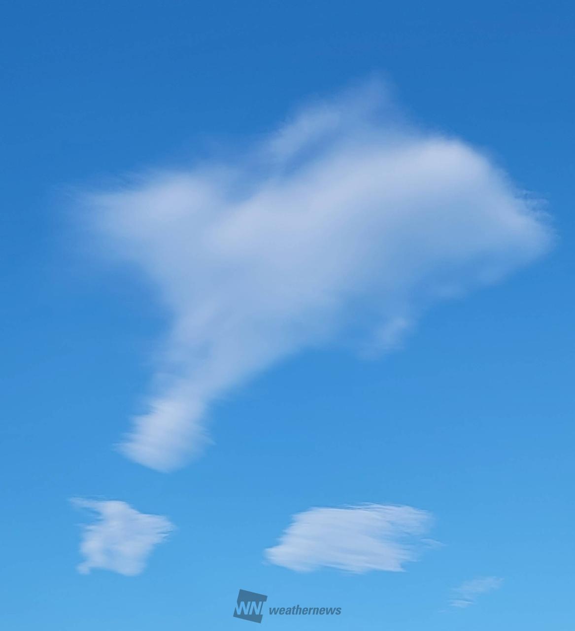 秋の雲画廊 注目の空の写真 ウェザーニュース