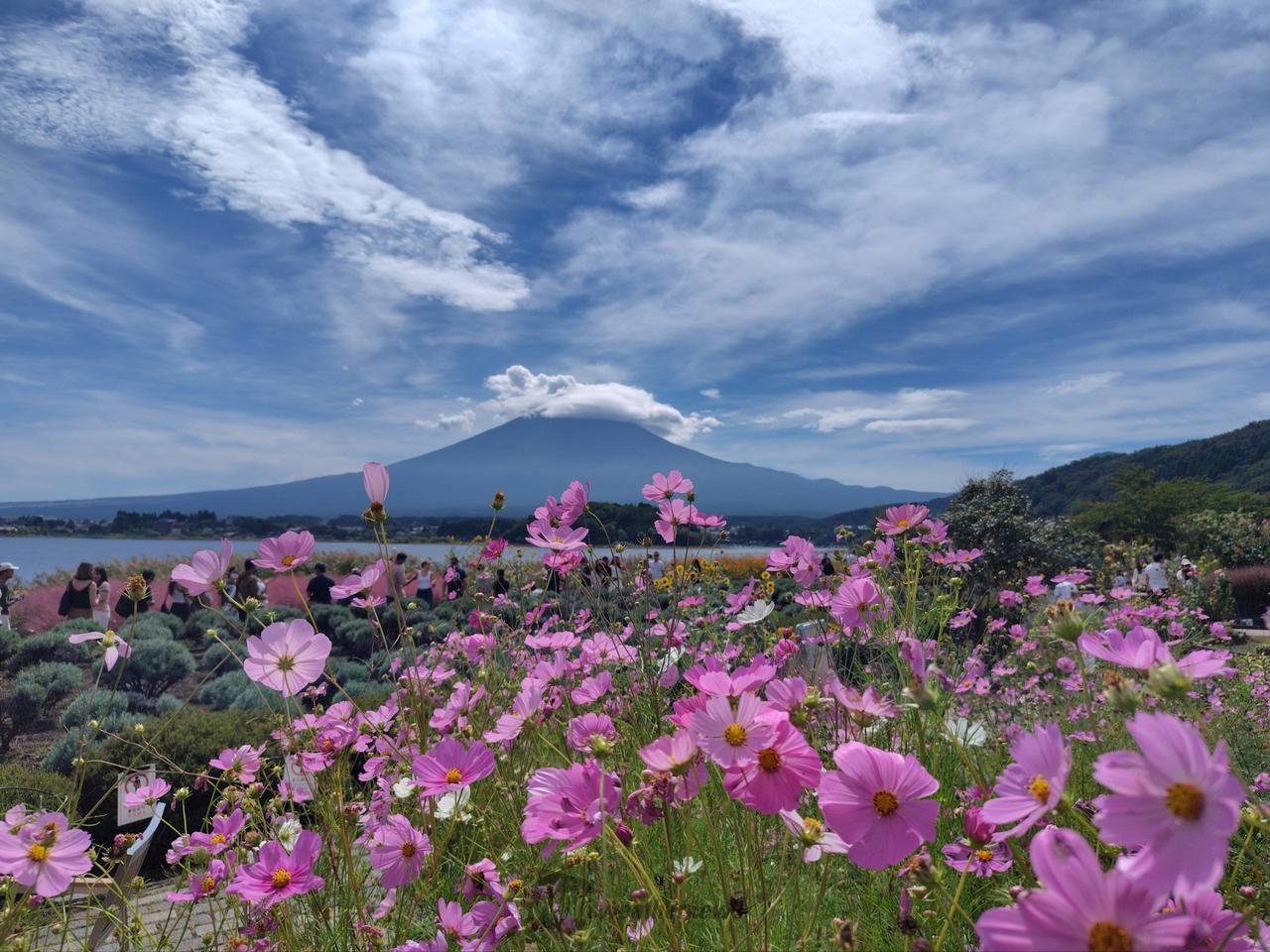 富士山🗻 注目の空の写真 ウェザーニュース