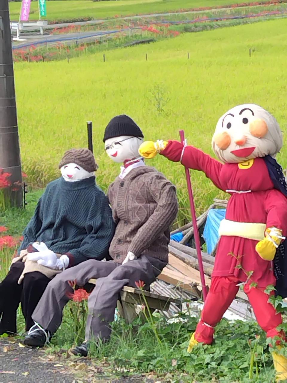 案山子コレクション 注目の空の写真 ウェザーニュース