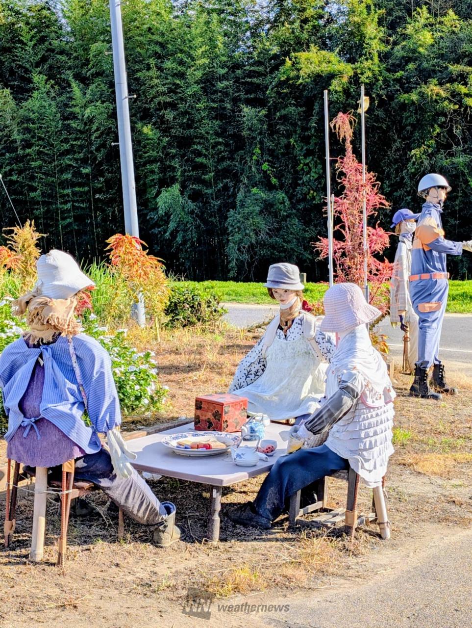 案山子コレクション 注目の空の写真 ウェザーニュース