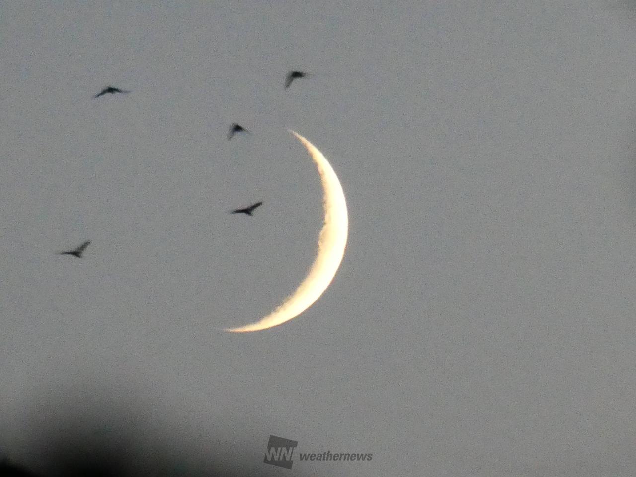 雲の隙間にほっそりお月様🌒 注目の空の写真 ウェザーニュース
