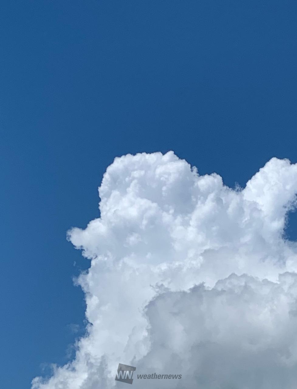 夏のような雲 雨柱も 注目の空の写真 ウェザーニュース
