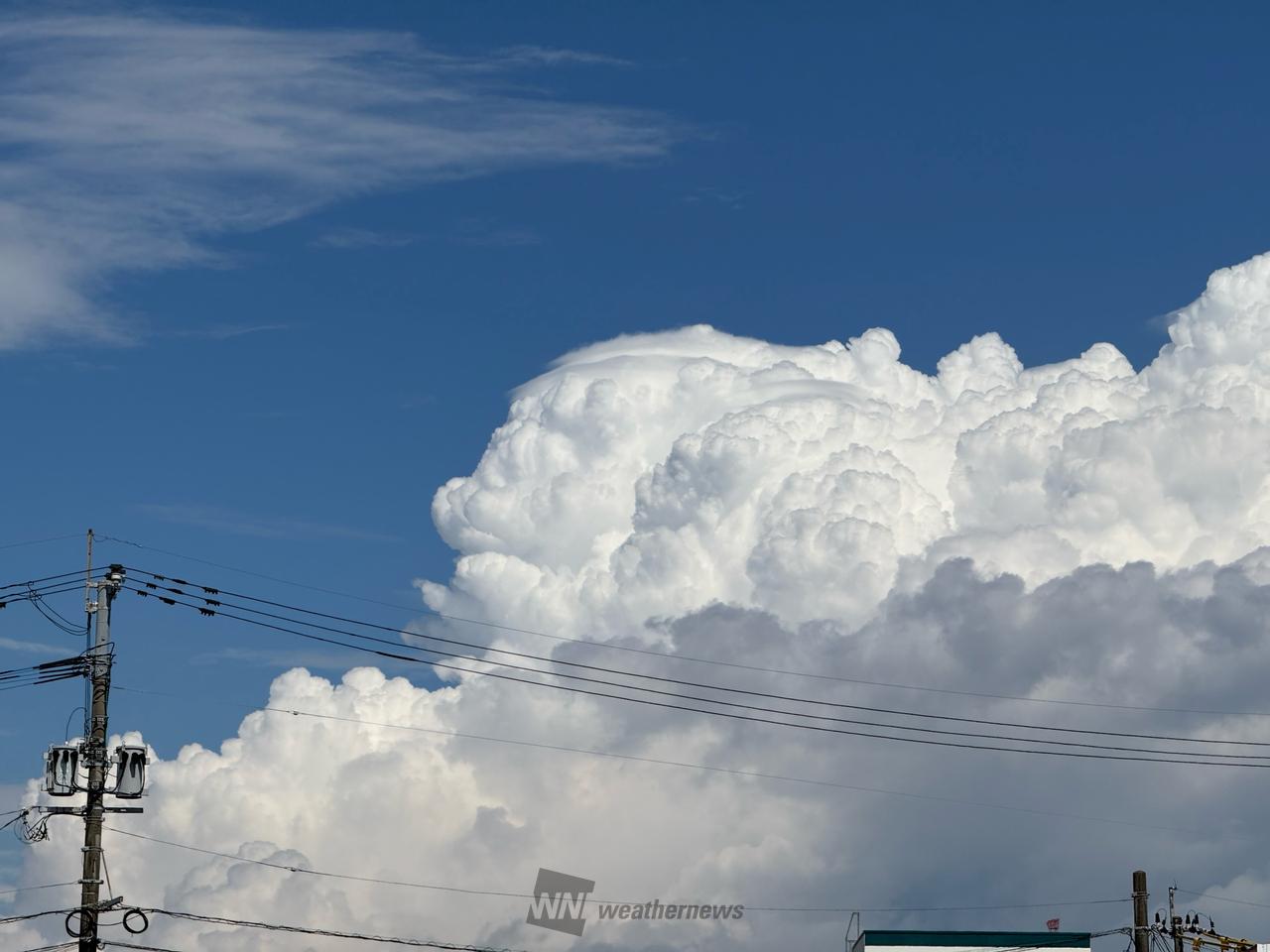 夏のような雲 雨柱も 注目の空の写真 ウェザーニュース