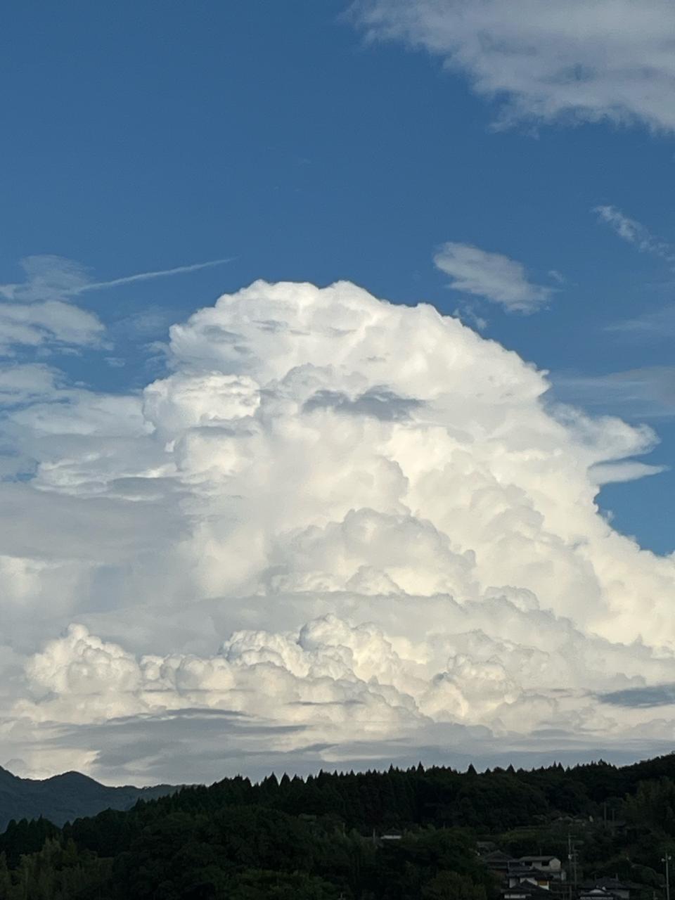 雲風様【お待ち下さい】＊ご購入用 高島縮 20/20 薙刀袖寝間着（なぎなたそでねまき）／北斎（ほくさい