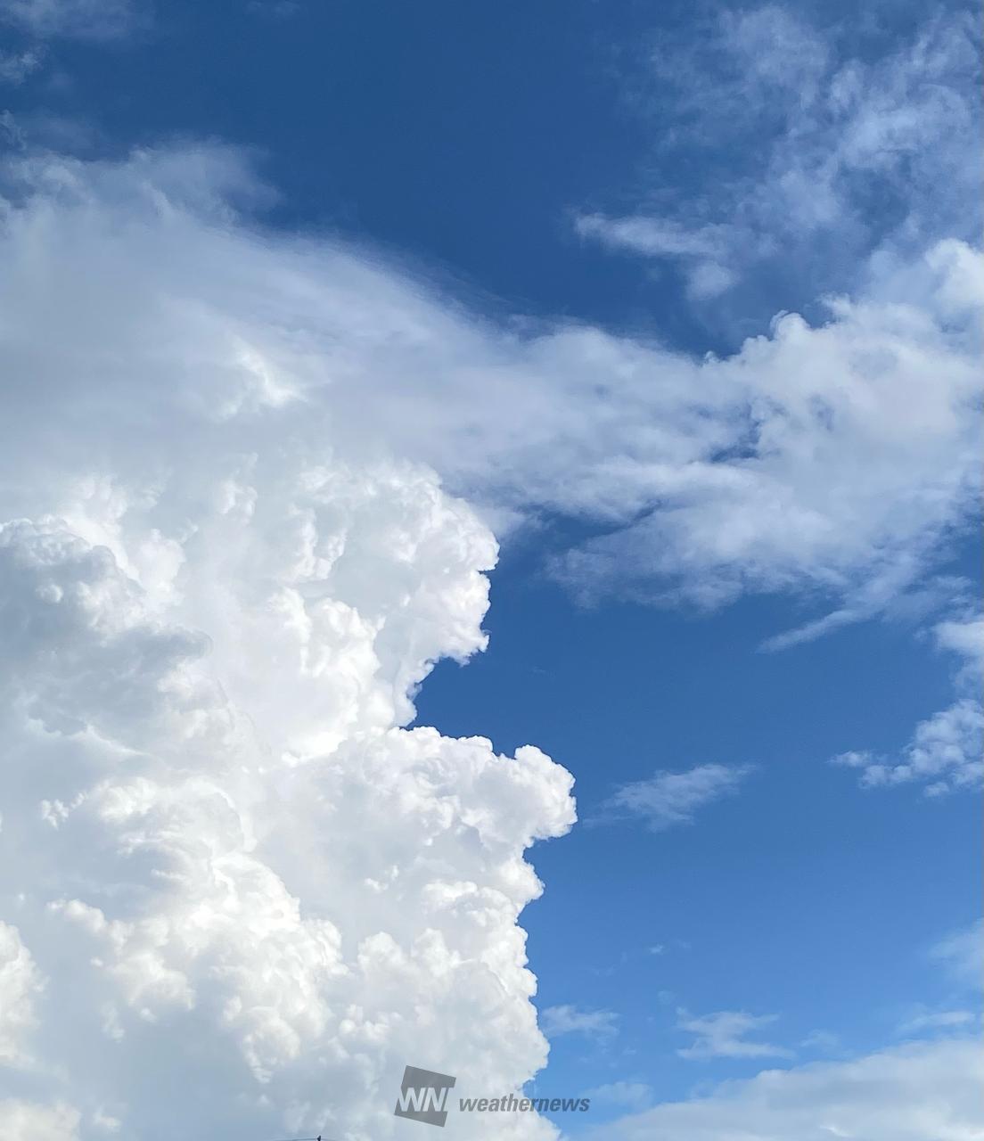 夏のような雲 雨柱も 注目の空の写真 ウェザーニュース