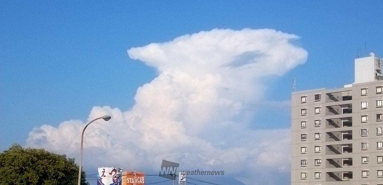 夏のような雲 雨柱も 注目の空の写真 ウェザーニュース