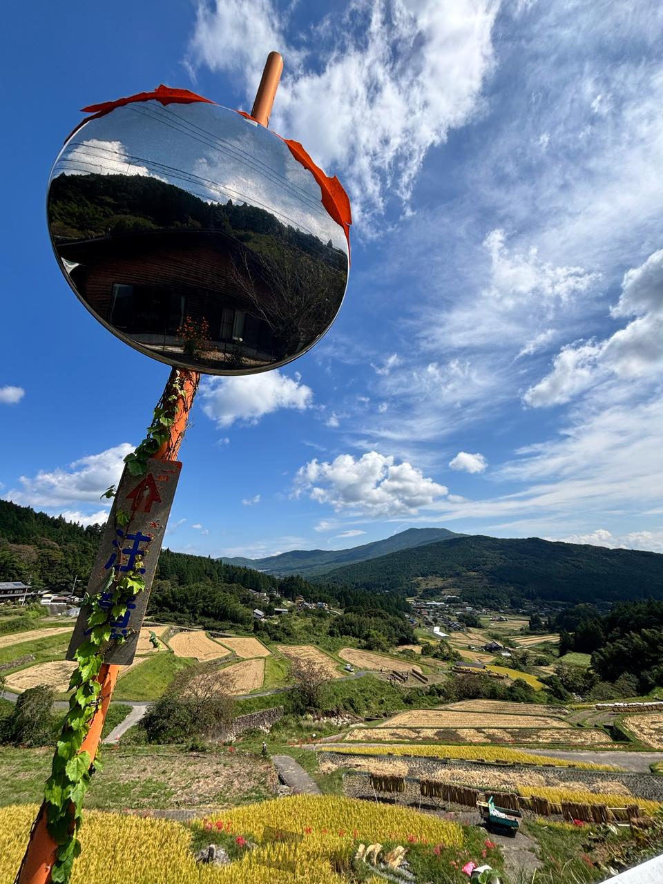 坂折棚田🌾とカーブ...