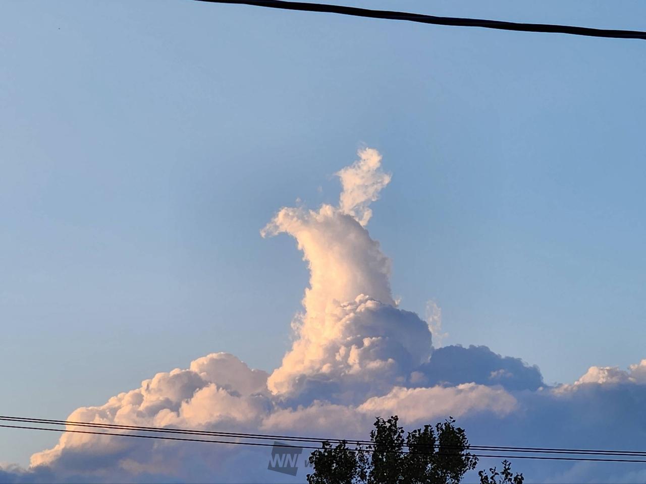 秋の雲画廊 注目の空の写真 ウェザーニュース