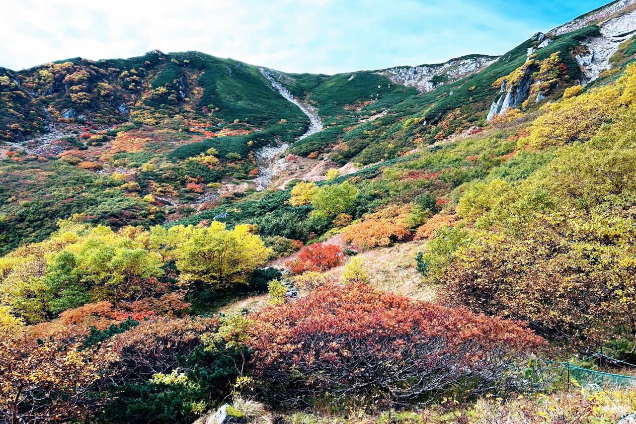 天気が良くとても綺...