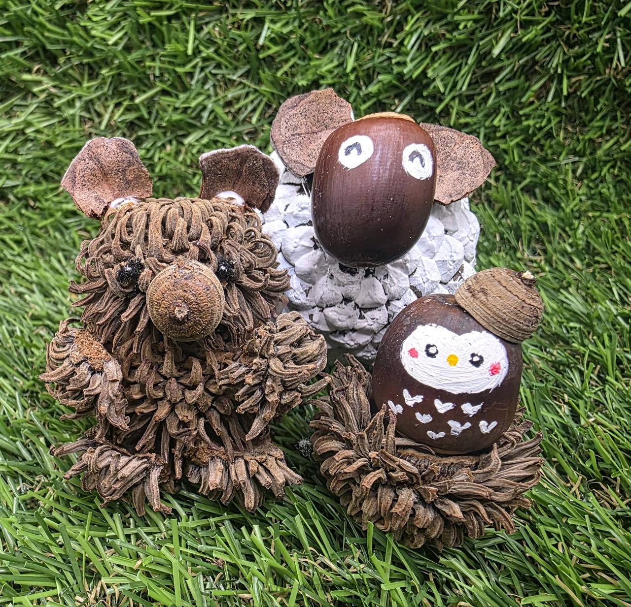 どんぐりアートを作ろう！ 注目の空の写真 ウェザーニュース