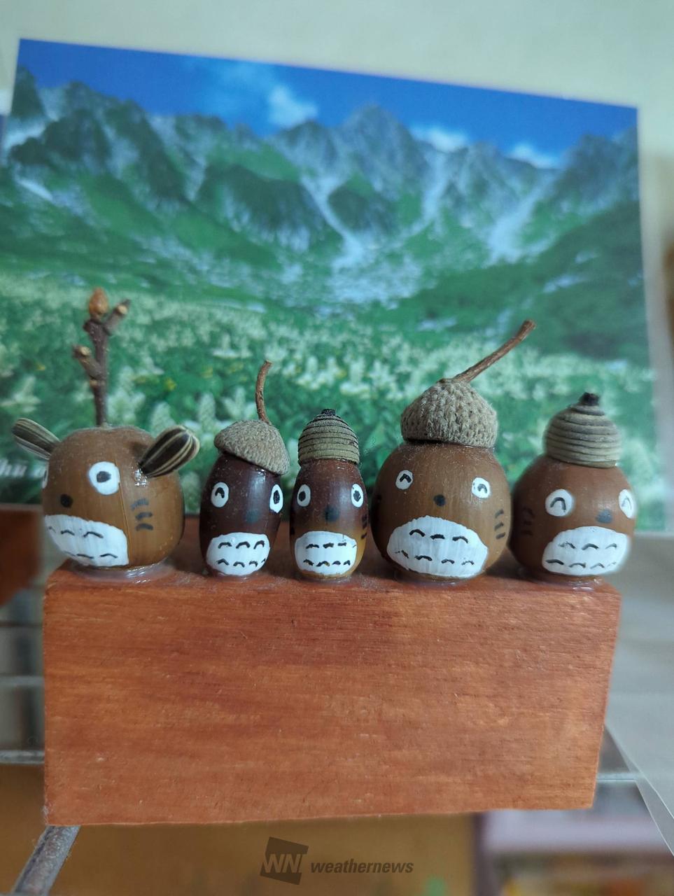 どんぐりアートを作ろう！ 注目の空の写真 ウェザーニュース