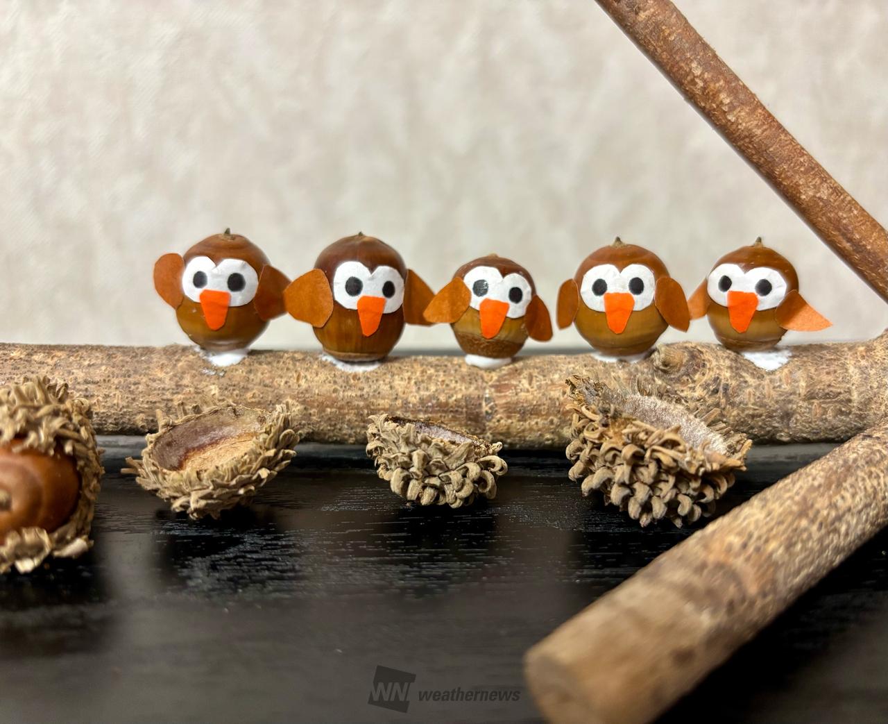 どんぐりアートを作ろう！ 注目の空の写真 ウェザーニュース