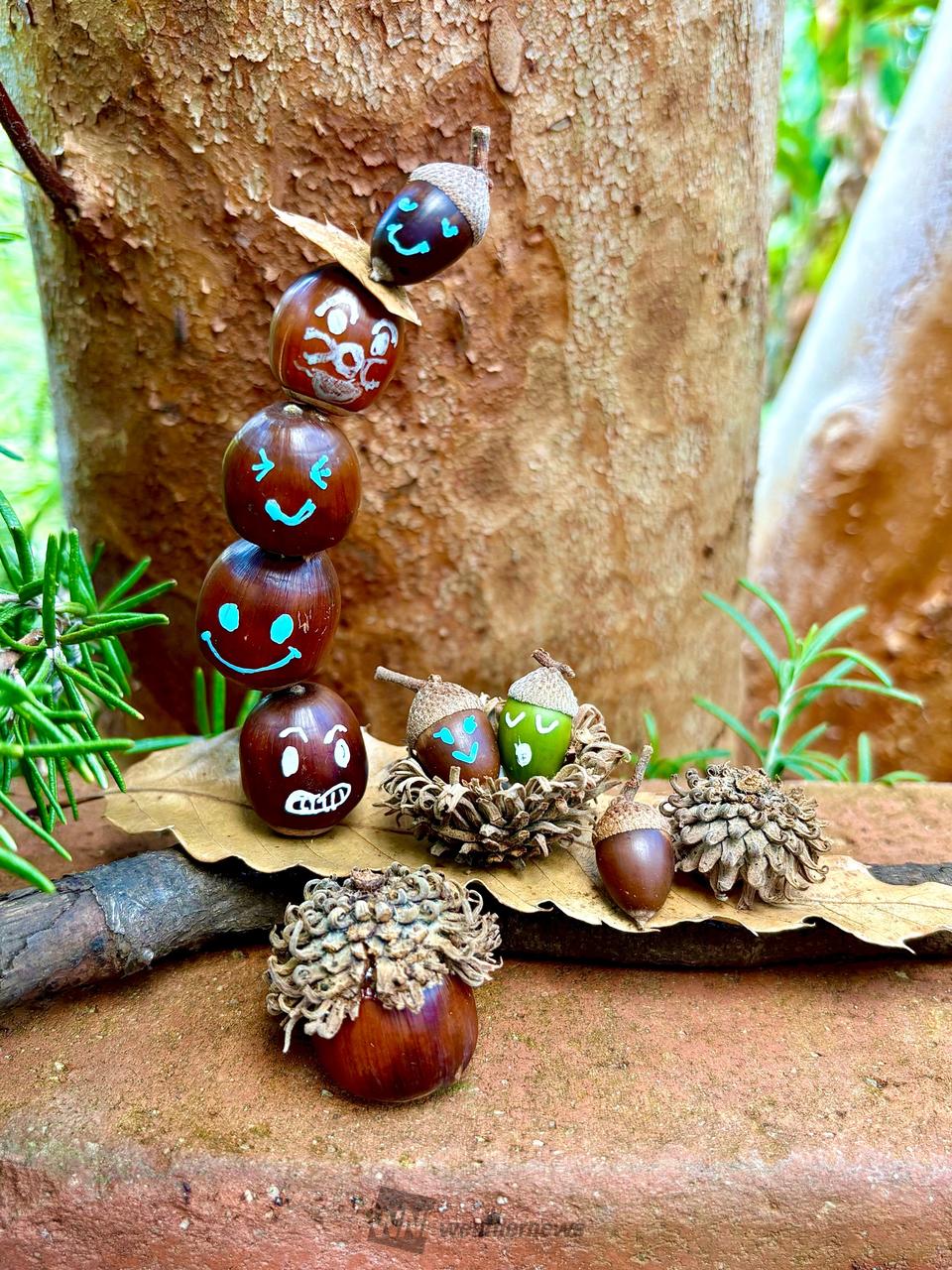 どんぐりアートを作ろう！ 注目の空の写真 ウェザーニュース