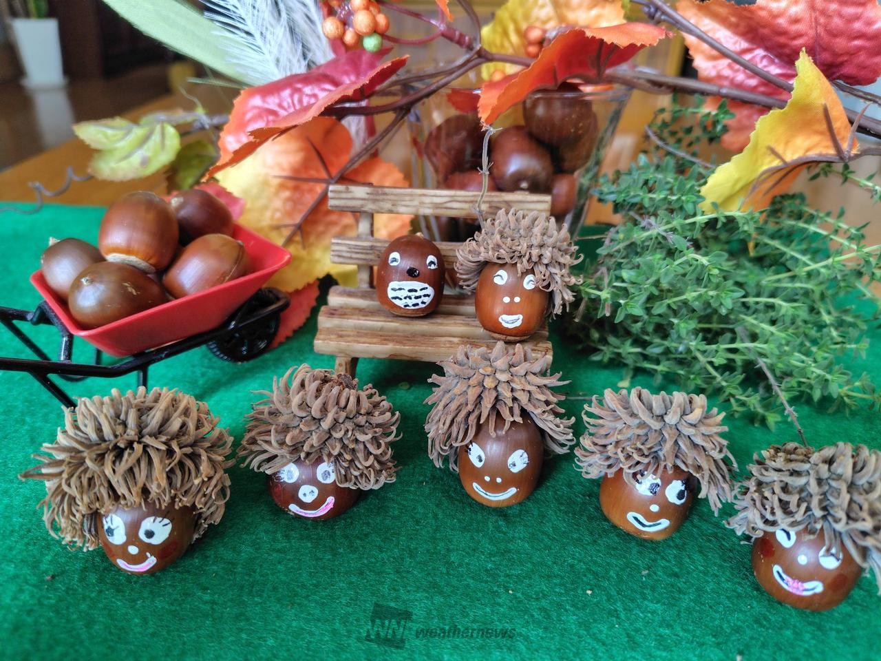 どんぐりアートを作ろう！ 注目の空の写真 ウェザーニュース