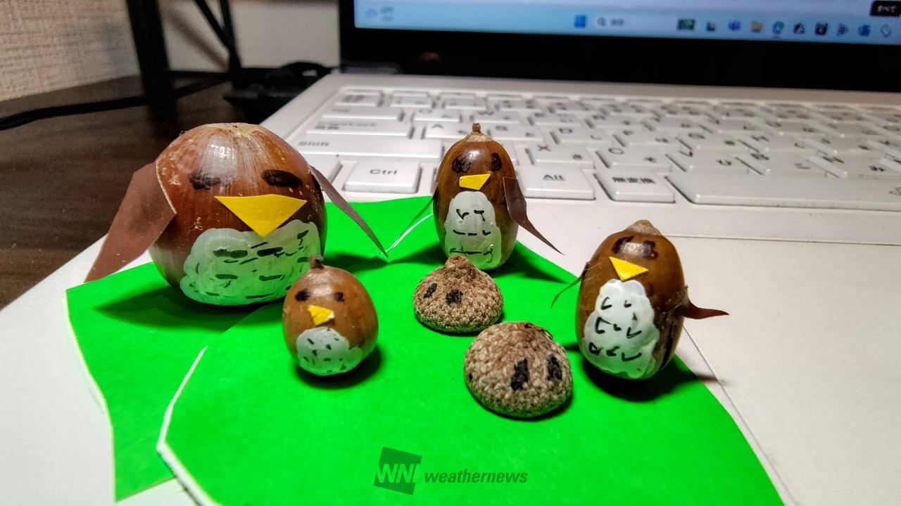 どんぐりアートを作ろう！ 注目の空の写真 ウェザーニュース