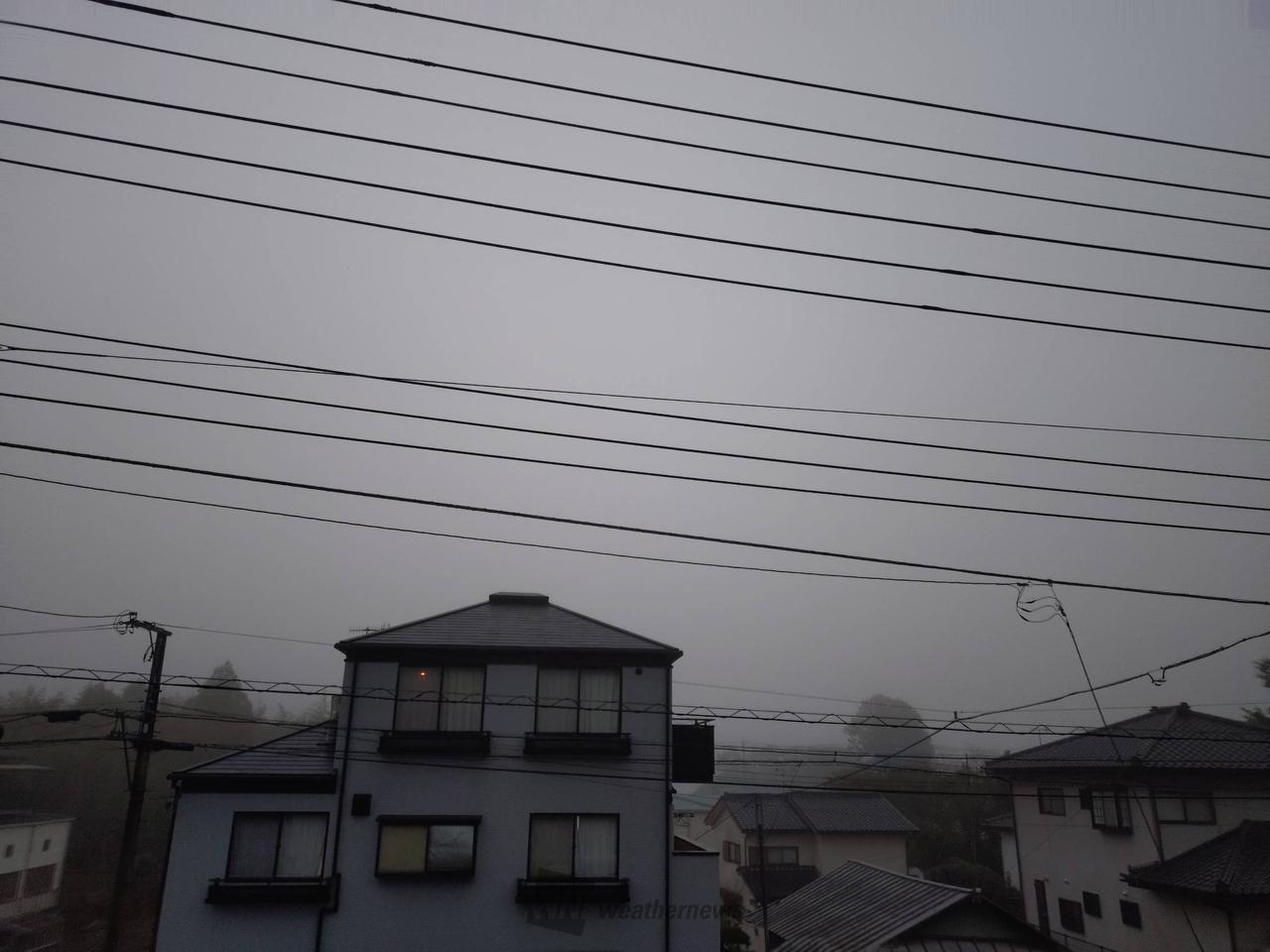 今朝も霧が発生 注目の空の写真 ウェザーニュース