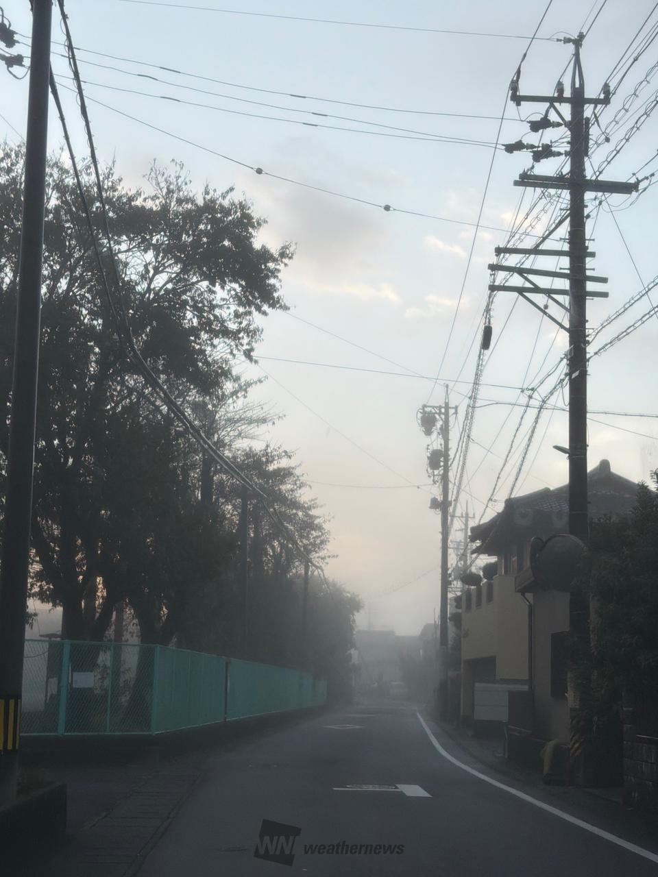 今朝も霧が発生 注目の空の写真 ウェザーニュース