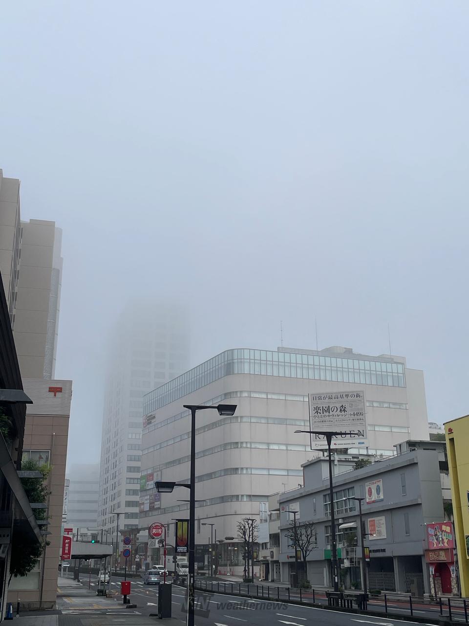 今朝も霧が発生 注目の空の写真 ウェザーニュース