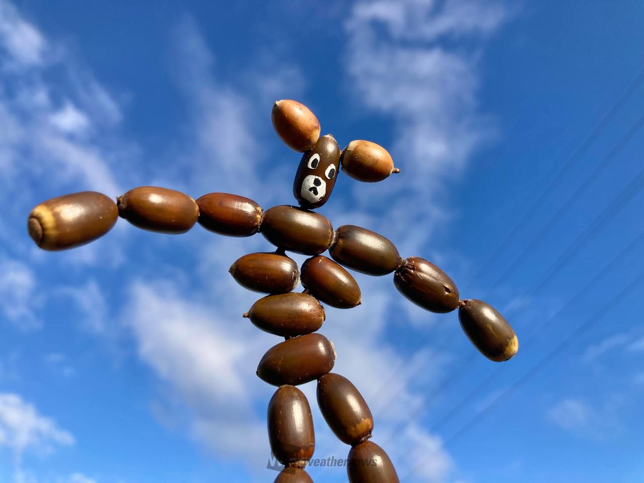 どんぐりアートを作ろう！ 注目の空の写真 ウェザーニュース