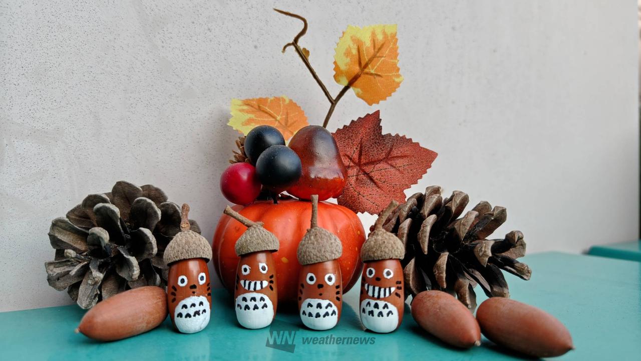 どんぐりアートを作ろう！ 注目の空の写真 ウェザーニュース