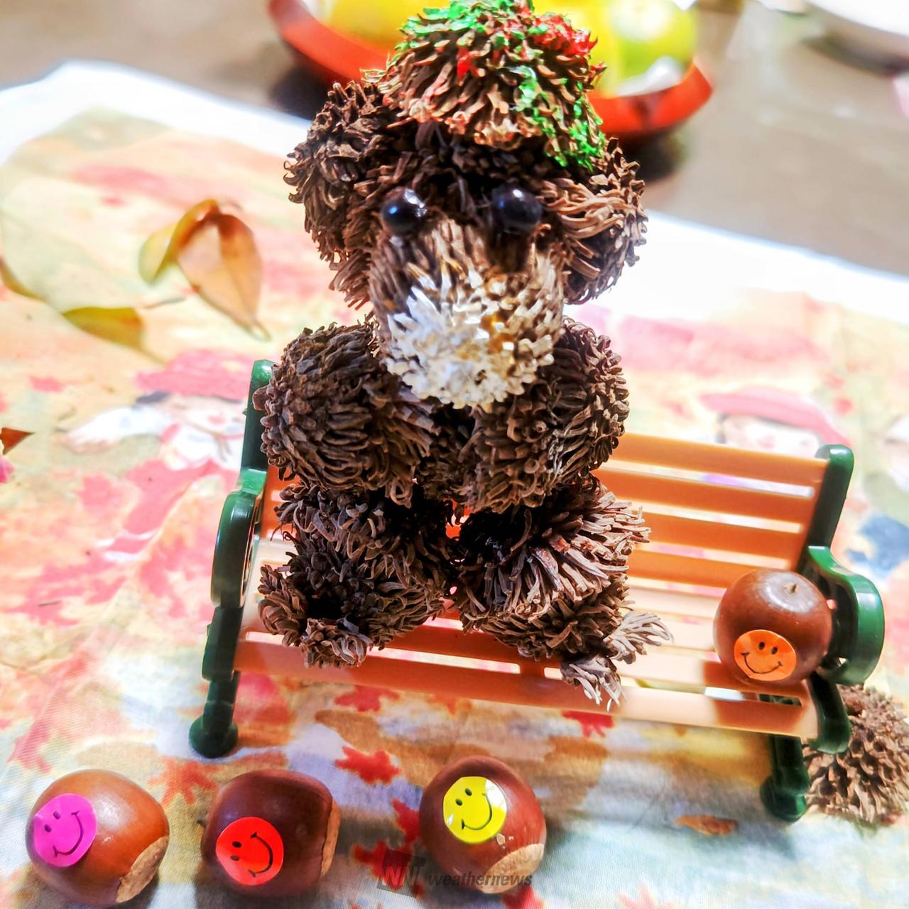 どんぐりアートを作ろう！ 注目の空の写真 ウェザーニュース