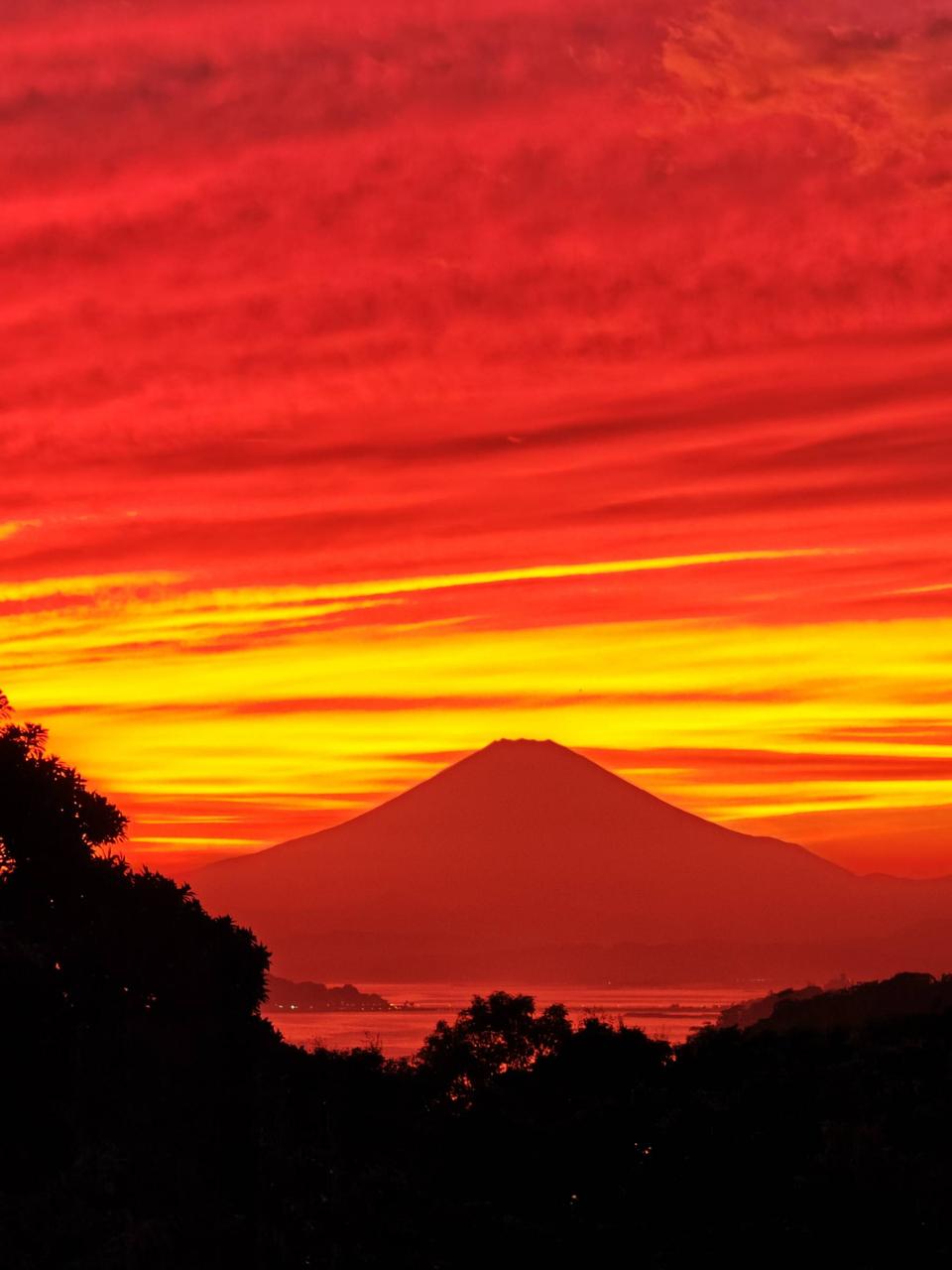 こんにちは夕焼け...
