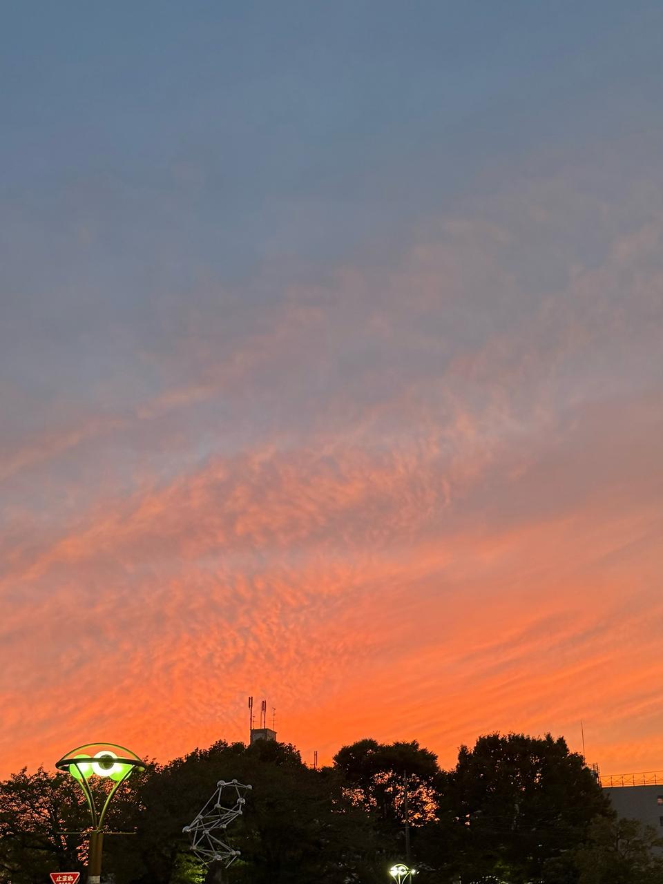 鮮やかな夕焼け 注目の空の写真 ウェザーニュース