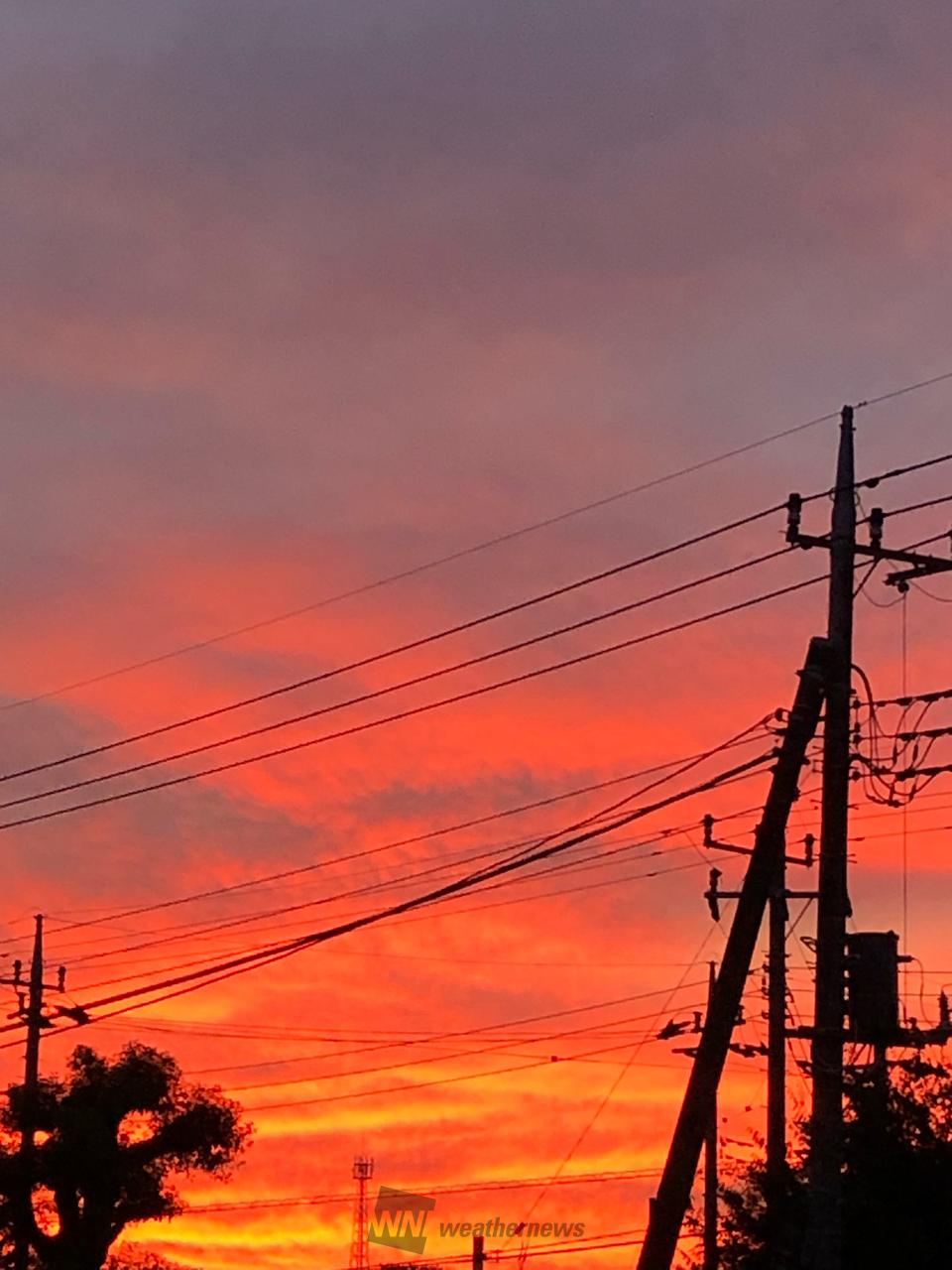 色鮮やかな夕焼け 注目の空の写真 ウェザーニュース
