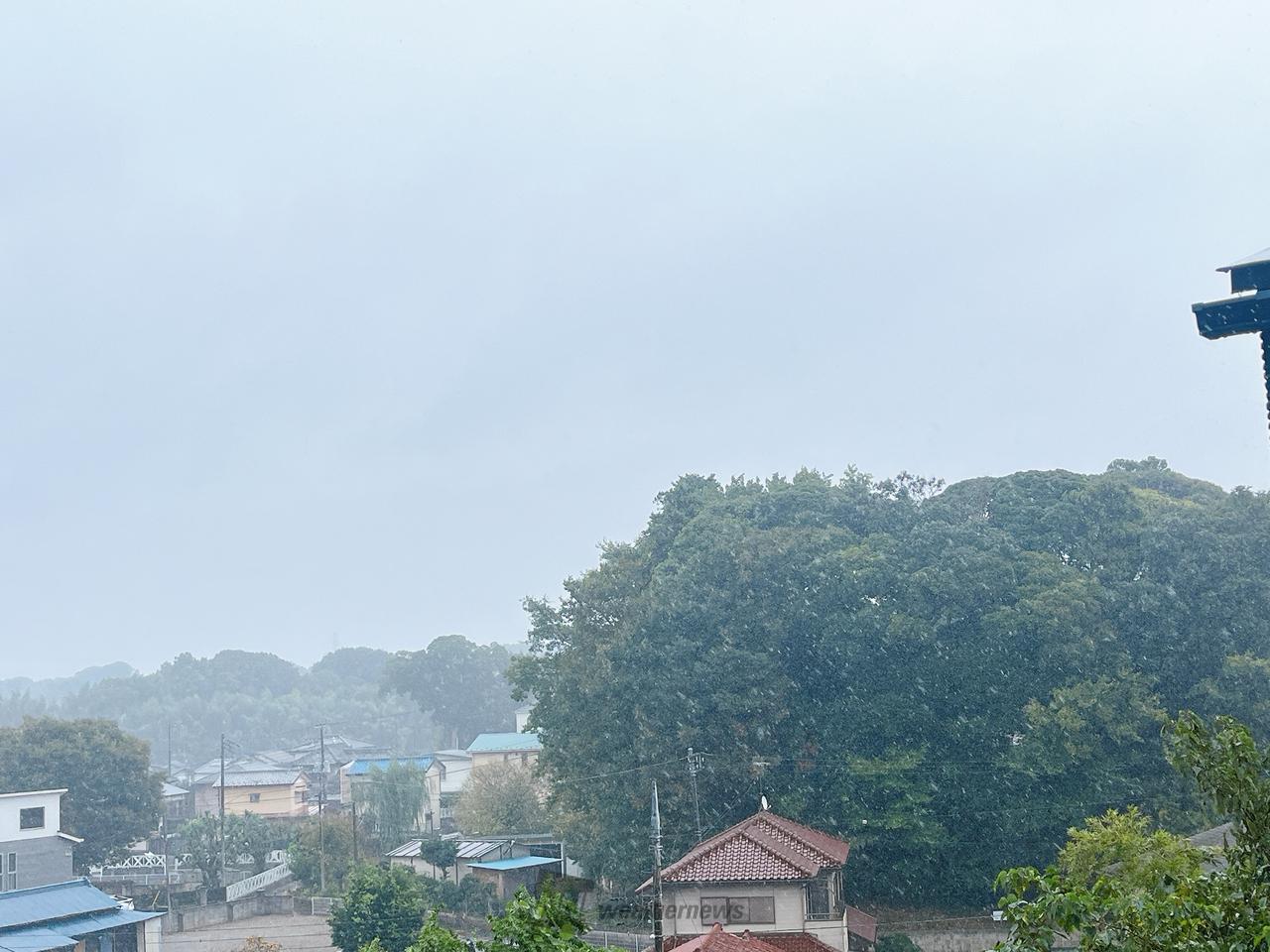 めっちゃ雨降ってき...