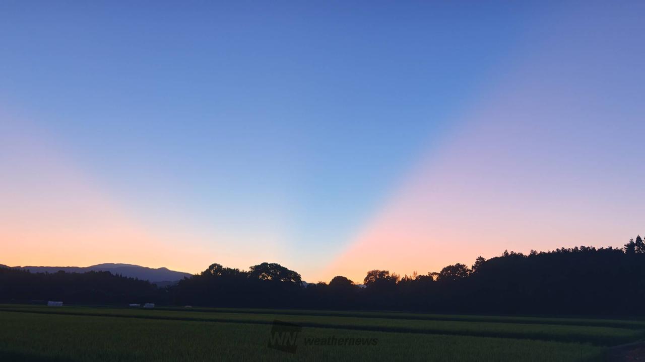 夕空に光芒が出現 注目の空の写真 ウェザーニュース