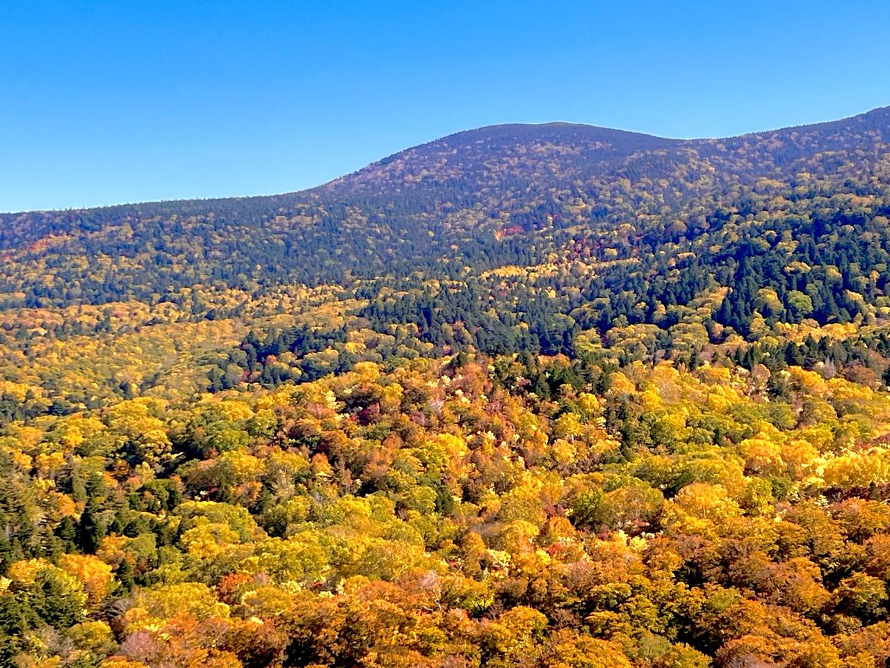 山形県白布峠県境付...