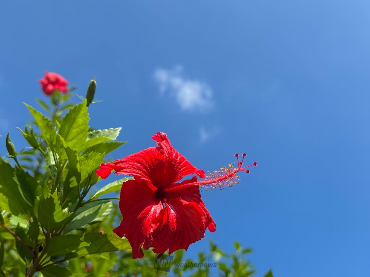 今日もいい天気!...